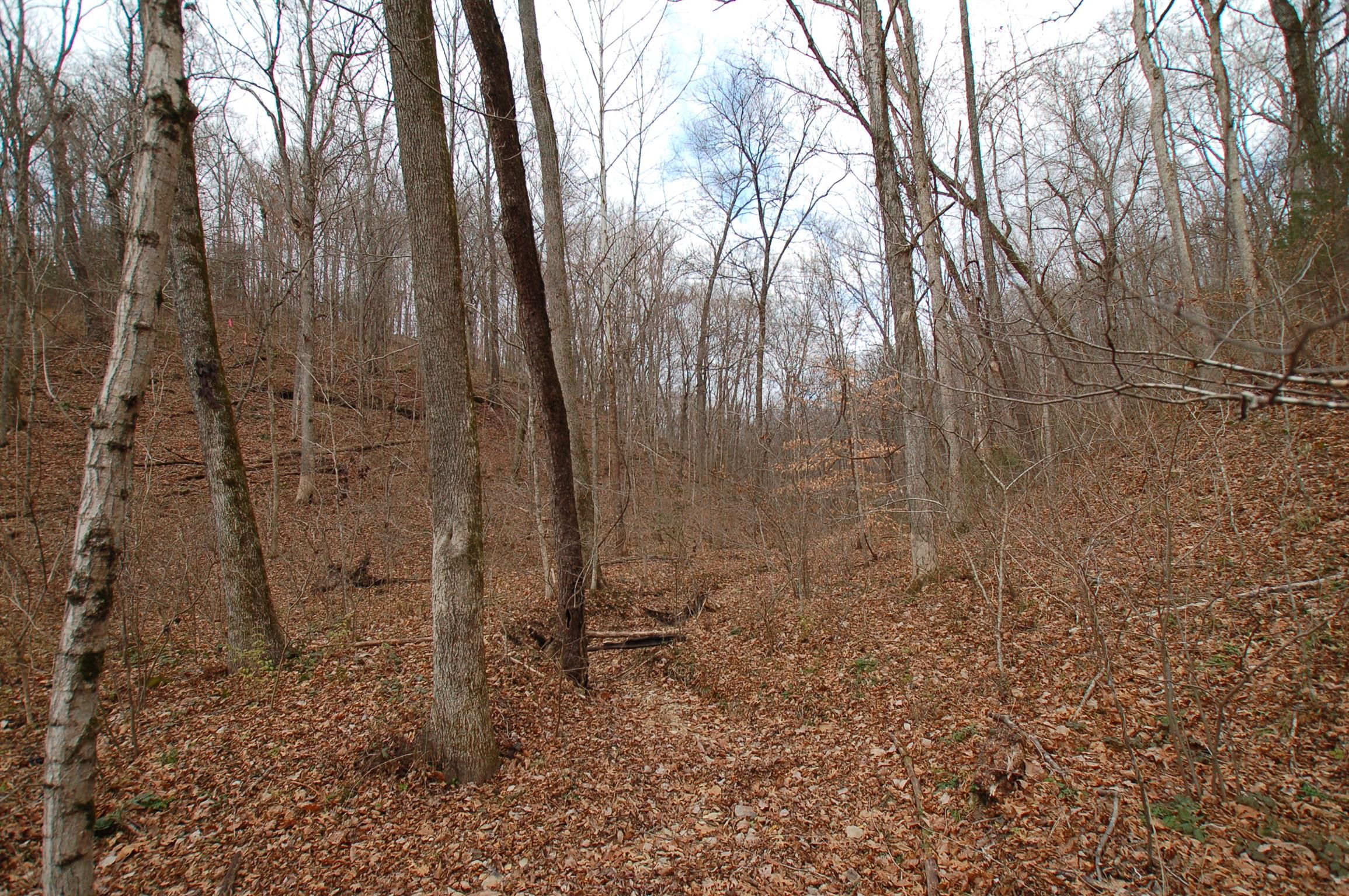 Greenbrier, Robertson County, TN Undeveloped Land for sale Property ID 330034352 LandWatch