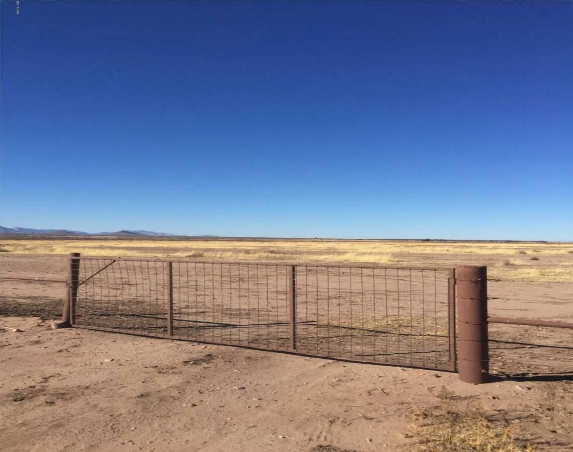 Elfrida, Cochise County, AZ Farms and Ranches, Undeveloped Land, Horse