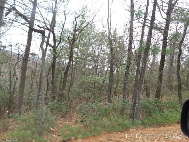 Mcgrady, Wilkes County, NC Undeveloped Land, Homesites for sale