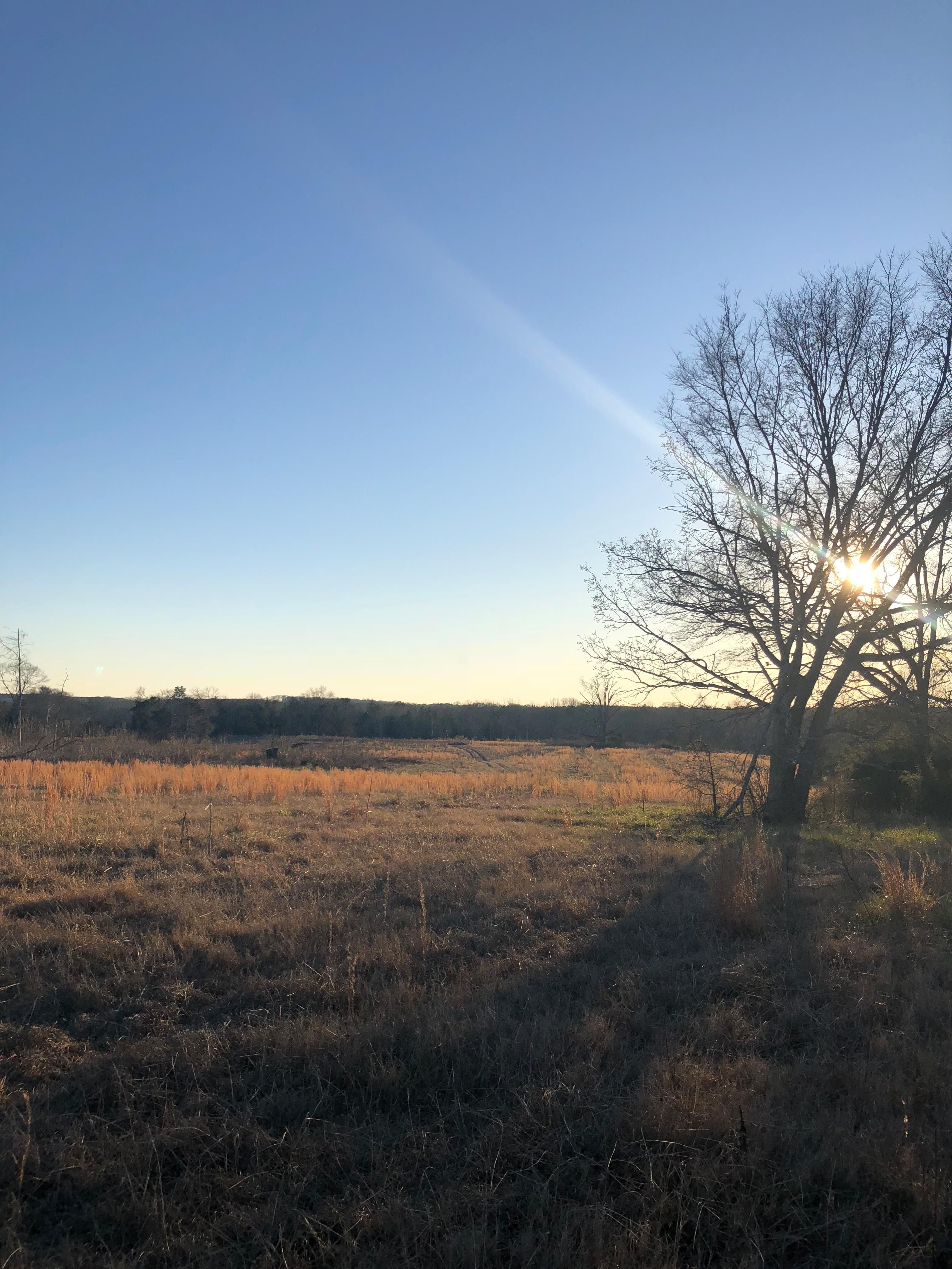 Elberton, Elbert County, GA Farms and Ranches, Recreational Property
