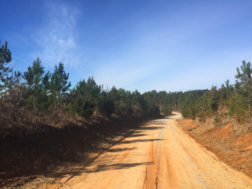 Medon, Hardeman County, TN Recreational Property, Timberland Property