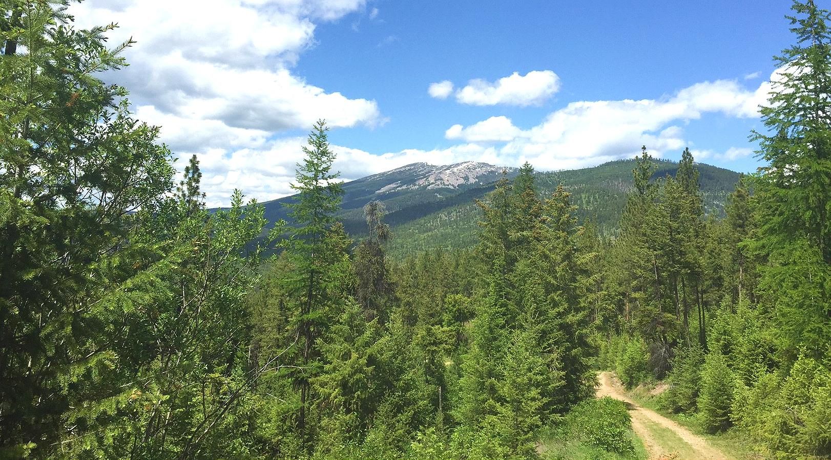 Plains, Sanders County, MT Recreational Property for sale Property ID