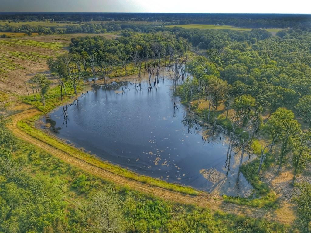 Sulphur Bluff, Delta County, TX Farms and Ranches, Recreational