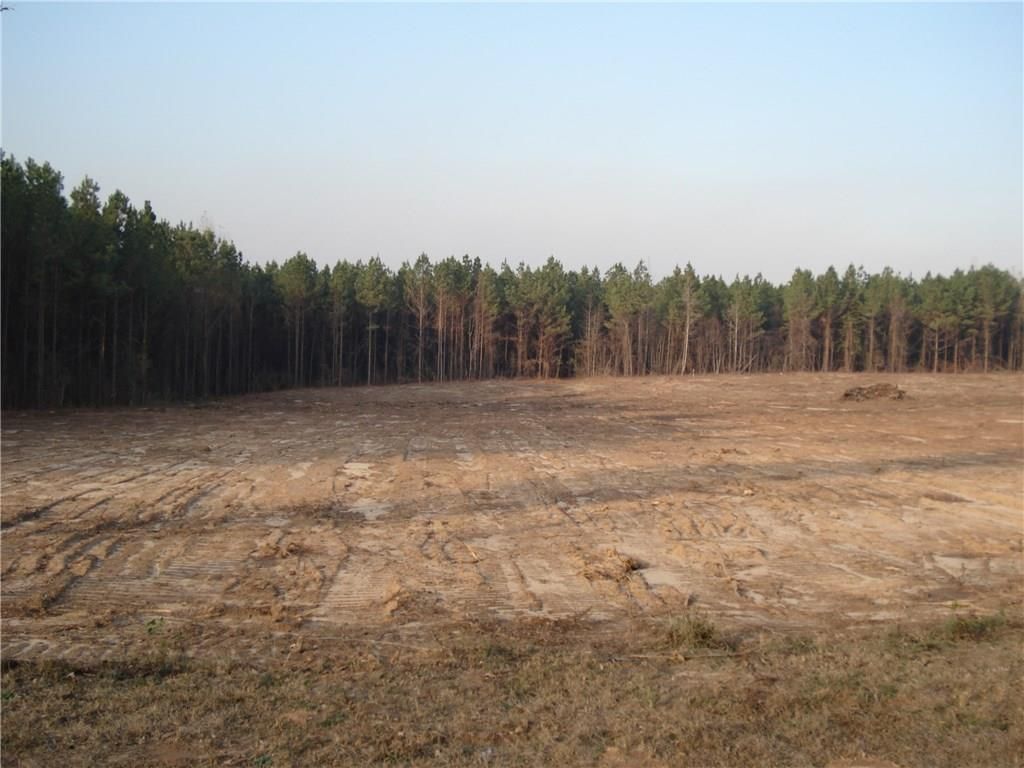 Dry Prong, Grant Parish, LA Undeveloped Land for sale Property ID 330467155 LandWatch