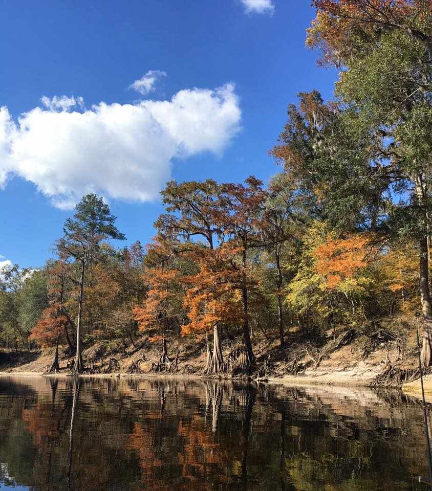 Live Oak, Suwannee County, FL Lakefront Property, Waterfront Property