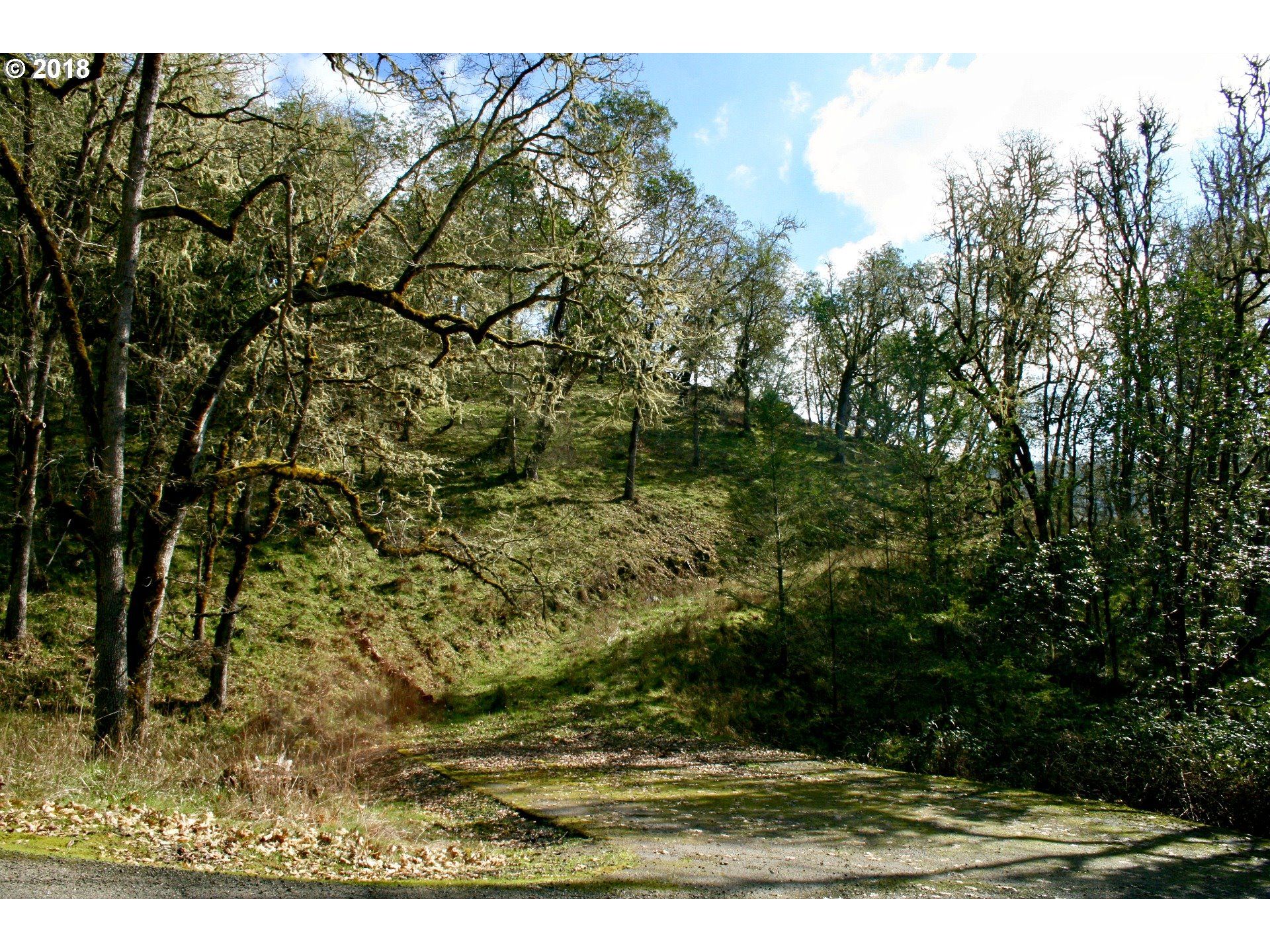 Roseburg, Douglas County, OR for sale Property ID 330515621 LandWatch