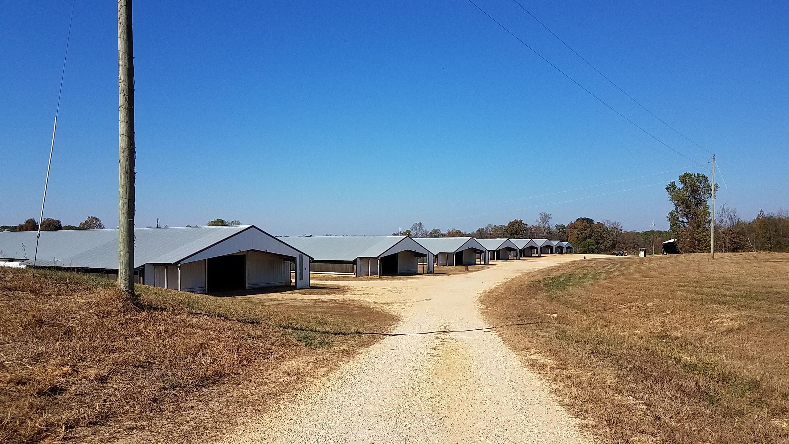 4245 Co Rd 53, Hackleburg, AL 35564 LandWatch