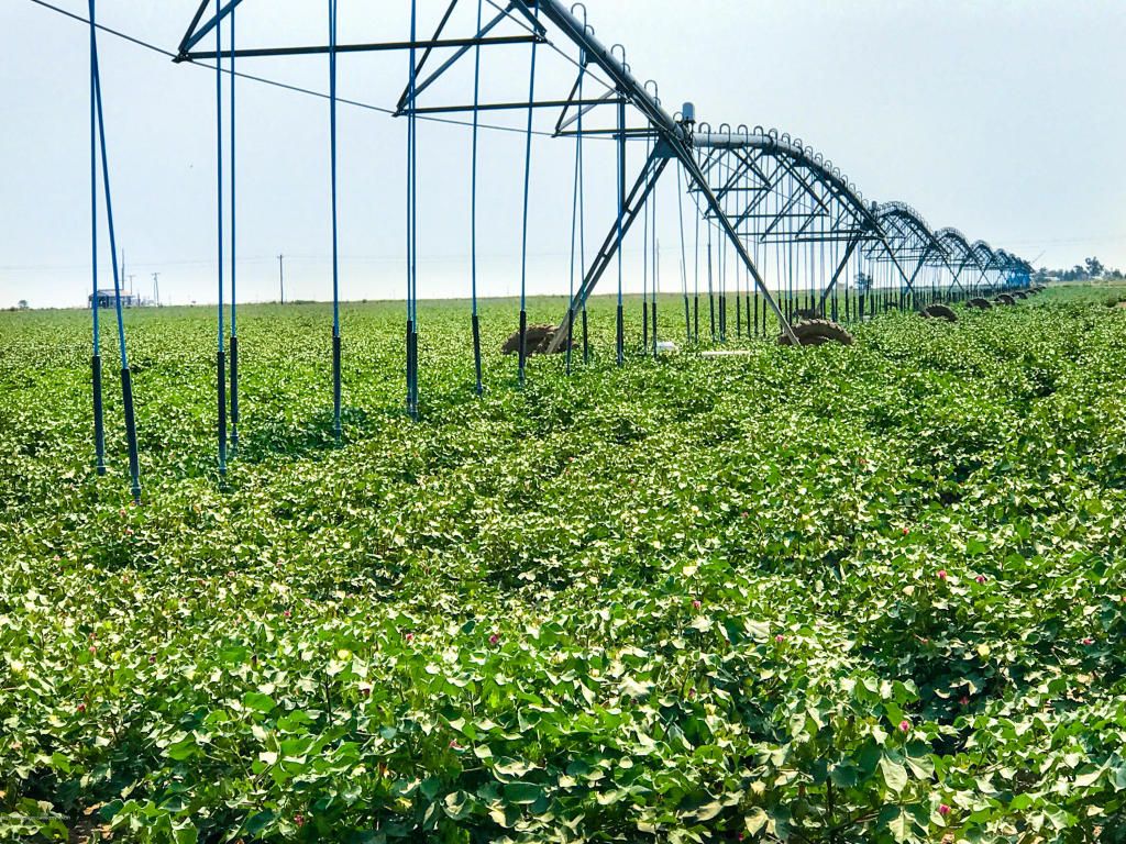 Farnsworth, Ochiltree County, TX Farms and Ranches for sale Property ID