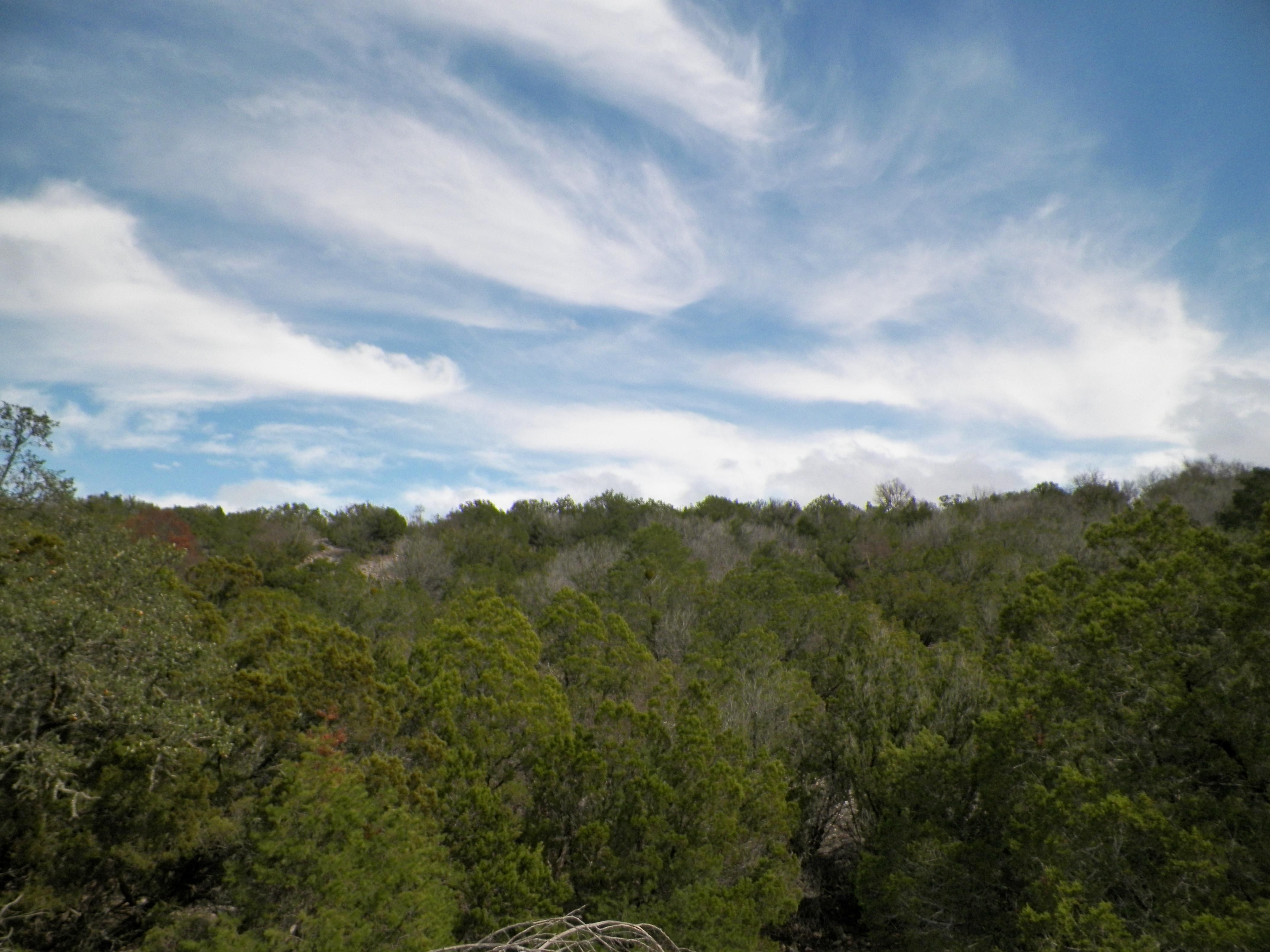 54 acres in Rocksprings, TX, 78880 LandWatch