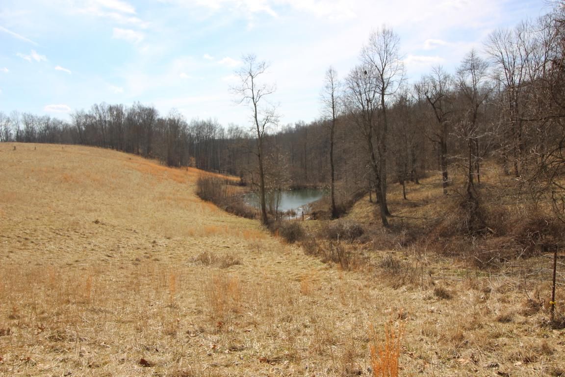 Guysville, Athens County, OH Recreational Property, Timberland Property, Hunting Property for