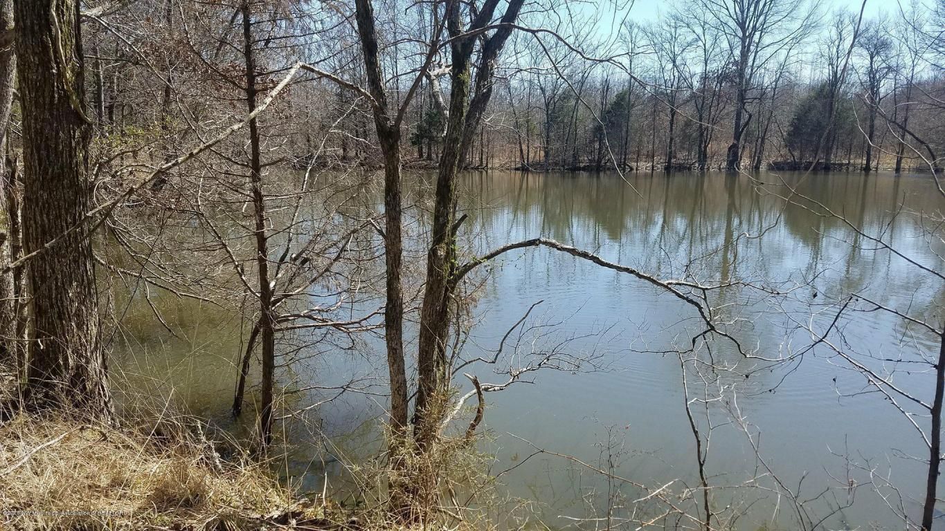 Coldwater, Tate County, MS Undeveloped Land for sale Property ID
