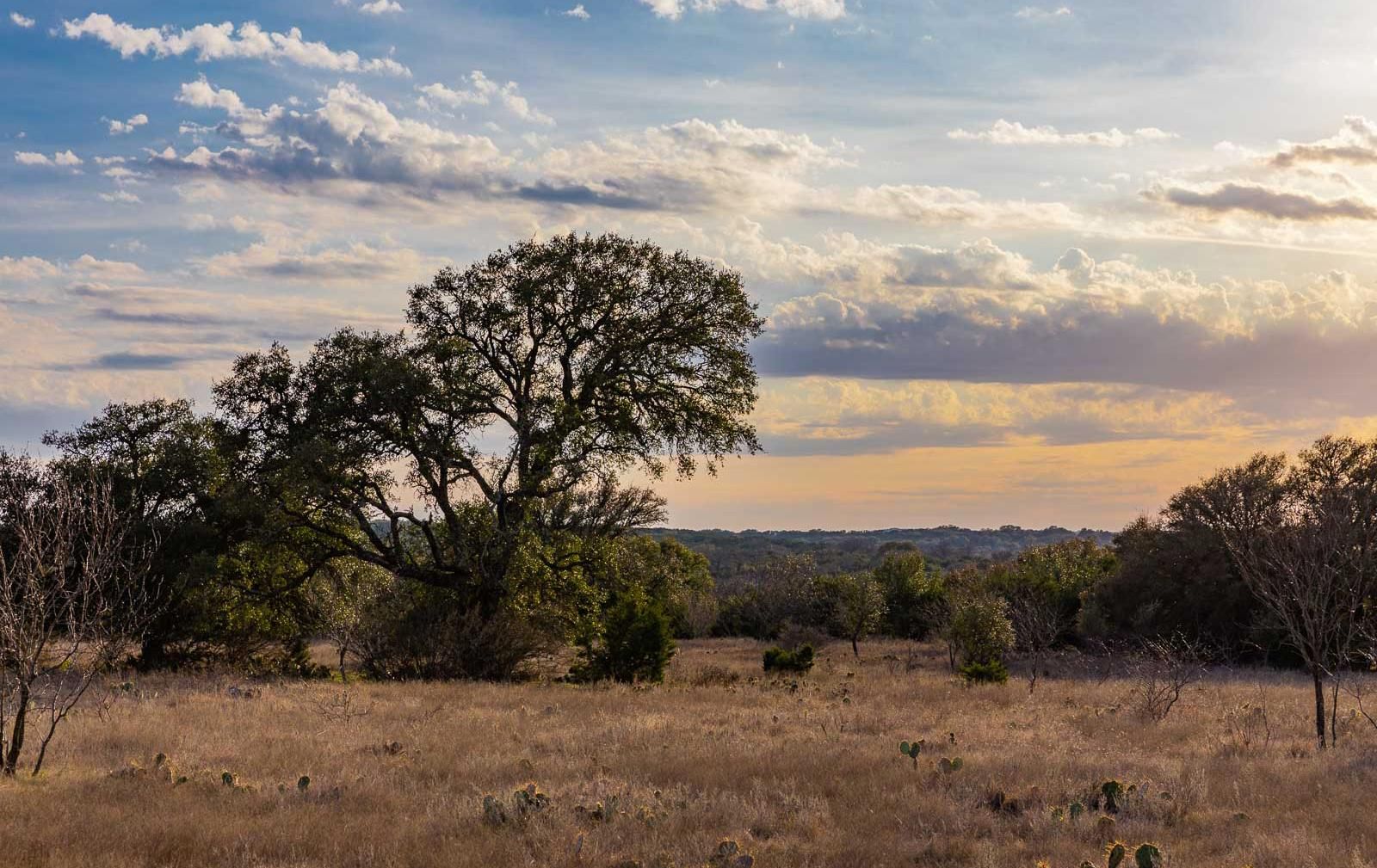 Cherokee, San Saba County, TX Recreational Property, Undeveloped Land, Hunting Property for sale