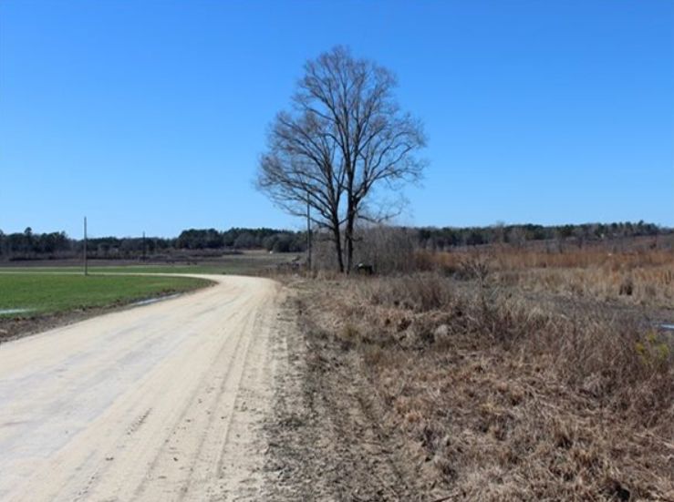 Society Hill, Chesterfield County, SC Farms and Ranches, Undeveloped