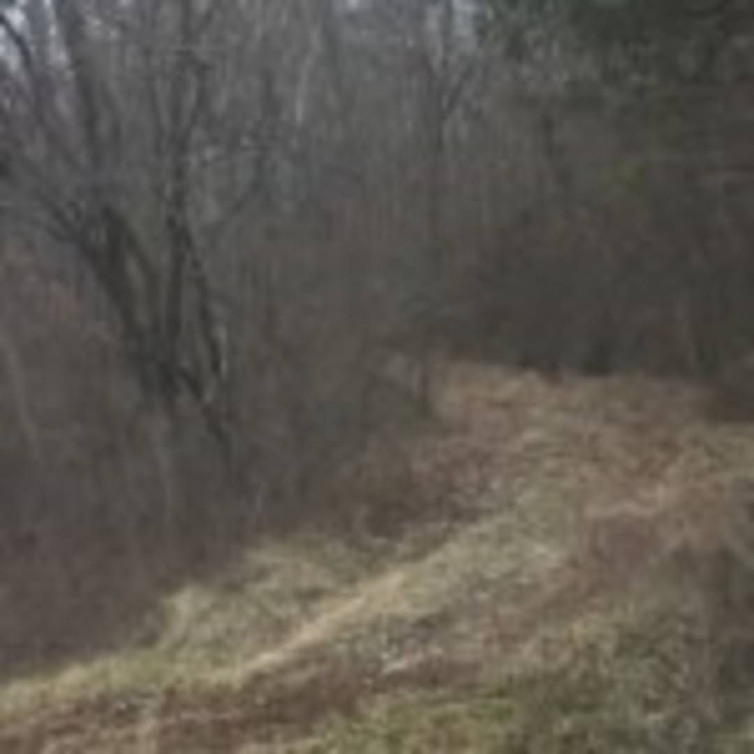 Sandy Hook, Elliott County, KY for sale Property ID 330332366 LandWatch