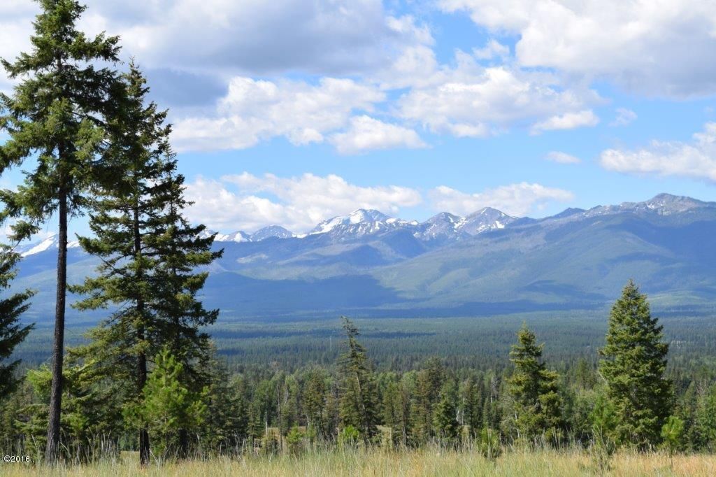 Condon, Missoula County, MT for sale Property ID 3574865 LandWatch