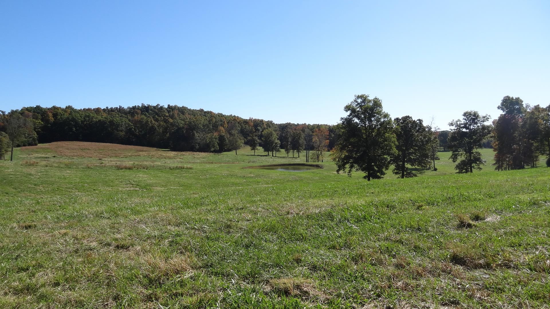 Dunmor, Muhlenberg County, KY Undeveloped Land for sale Property ID