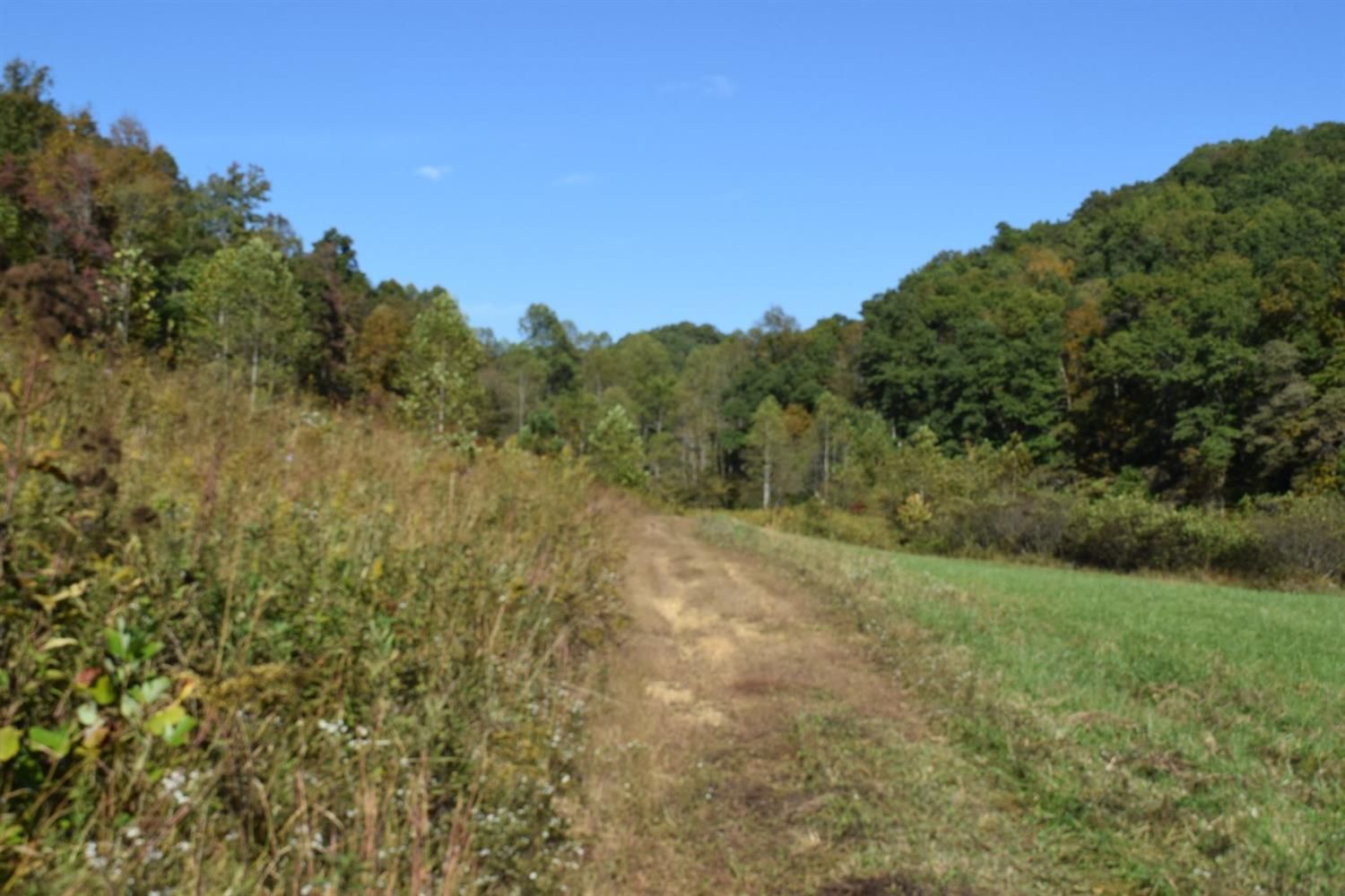 Morehead, Rowan County, KY Farms and Ranches for sale Property ID