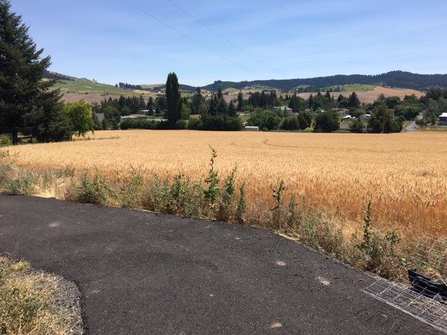 Moscow Latah County ID Farms And Ranches Homesites For Sale Property 