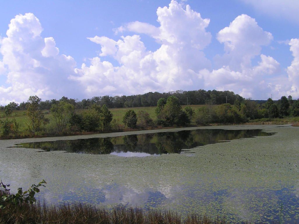 Dunlap, Sequatchie County, TN Farms and Ranches for sale Property ID