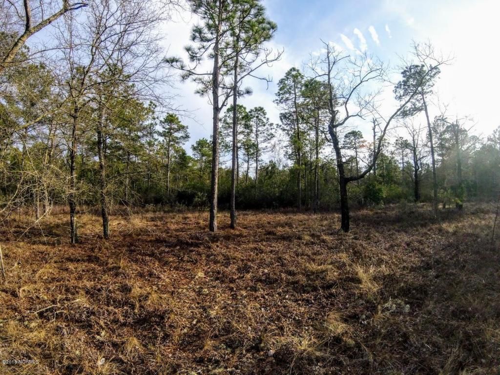 Burgaw, Pender County, NC Undeveloped Land for sale Property ID