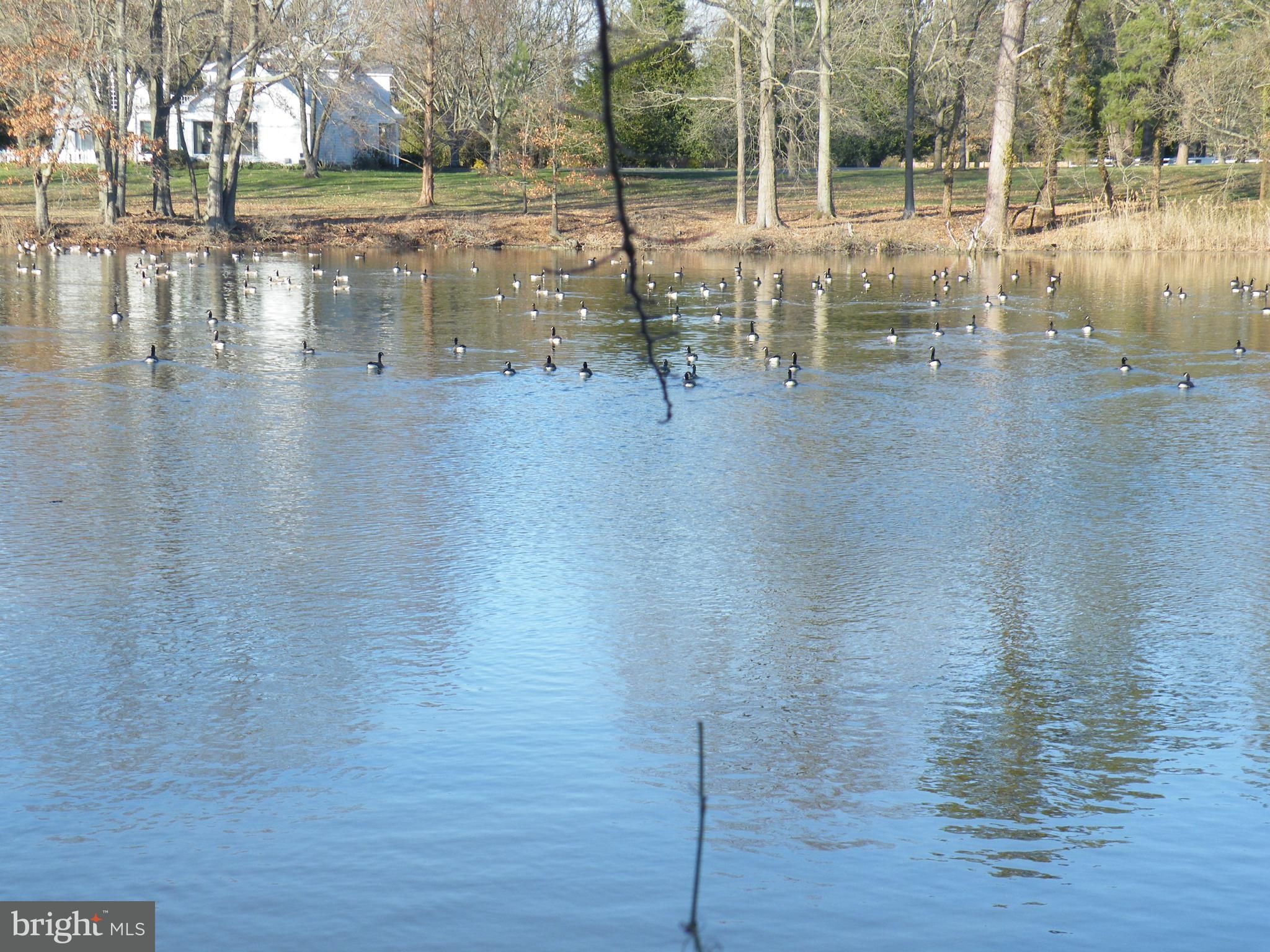 Easton, Talbot County, MD Undeveloped Land, Lakefront Property