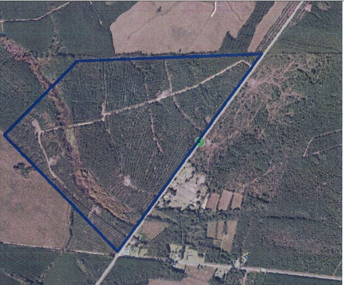 County, SC Timberland Property, Undeveloped Land