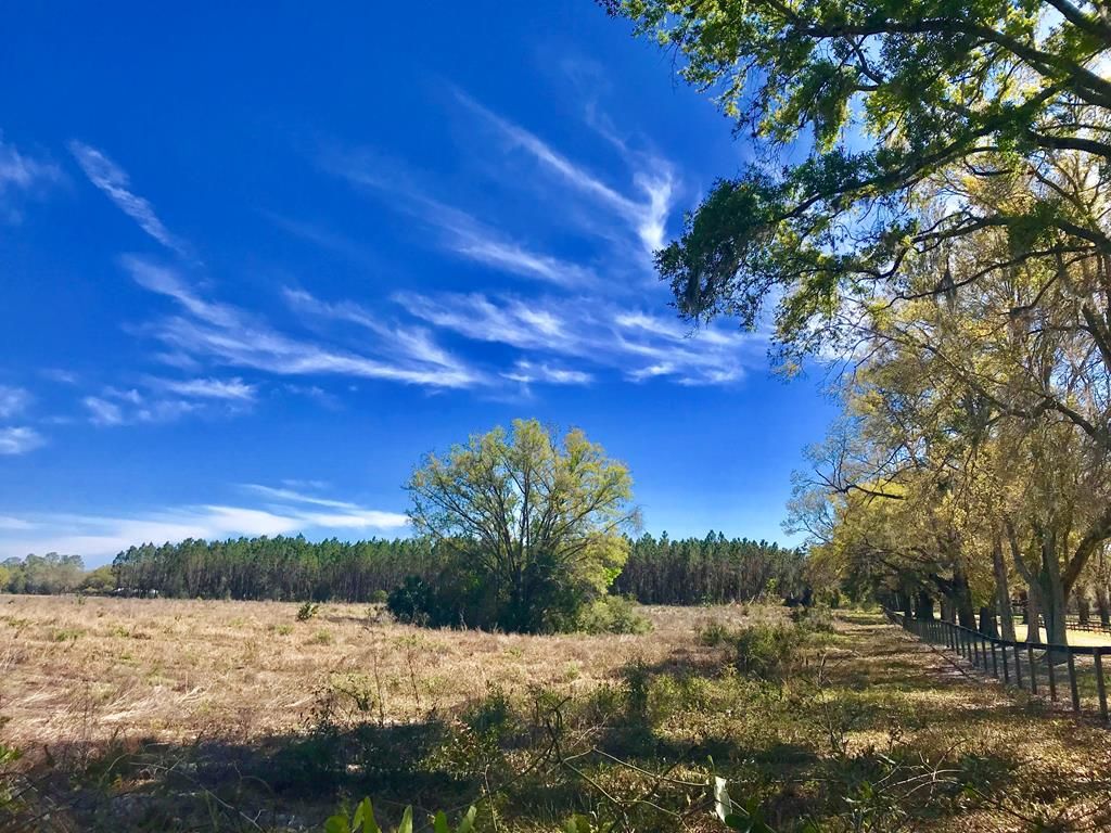 Chiefland, Levy County, FL Undeveloped Land for sale Property ID