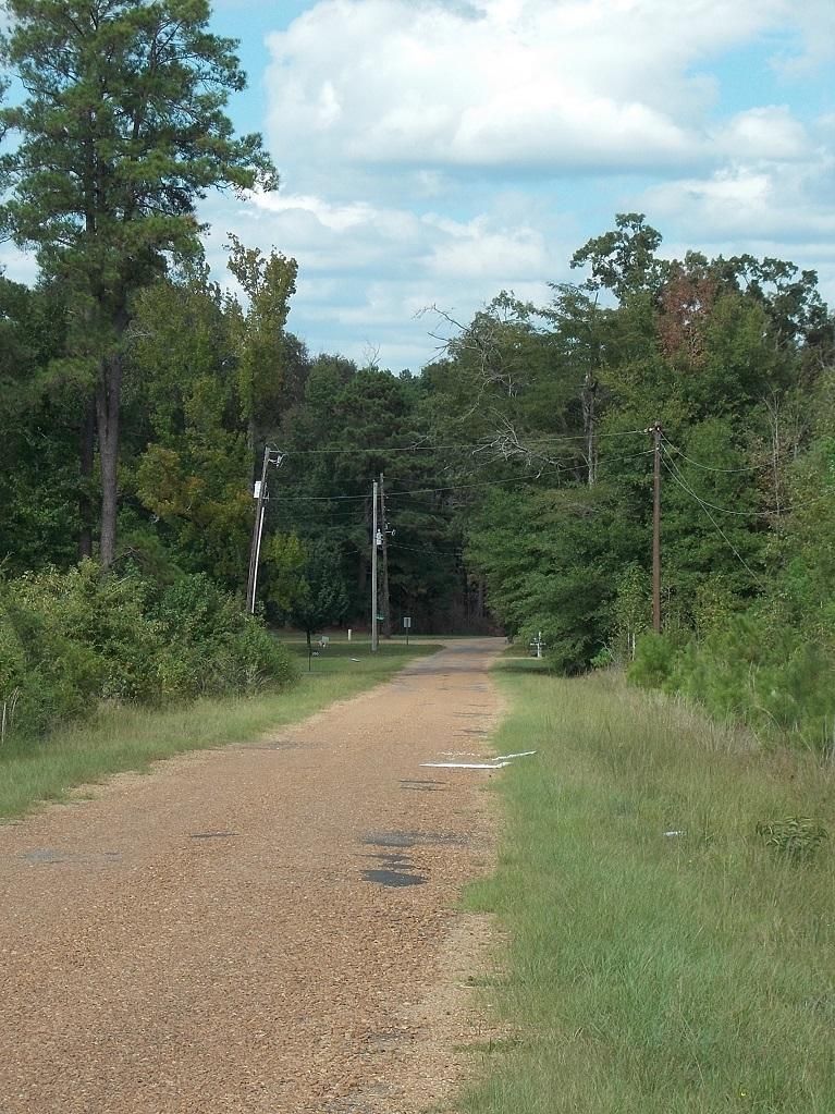 Jena, La Salle Parish, LA Recreational Property, Timberland Property