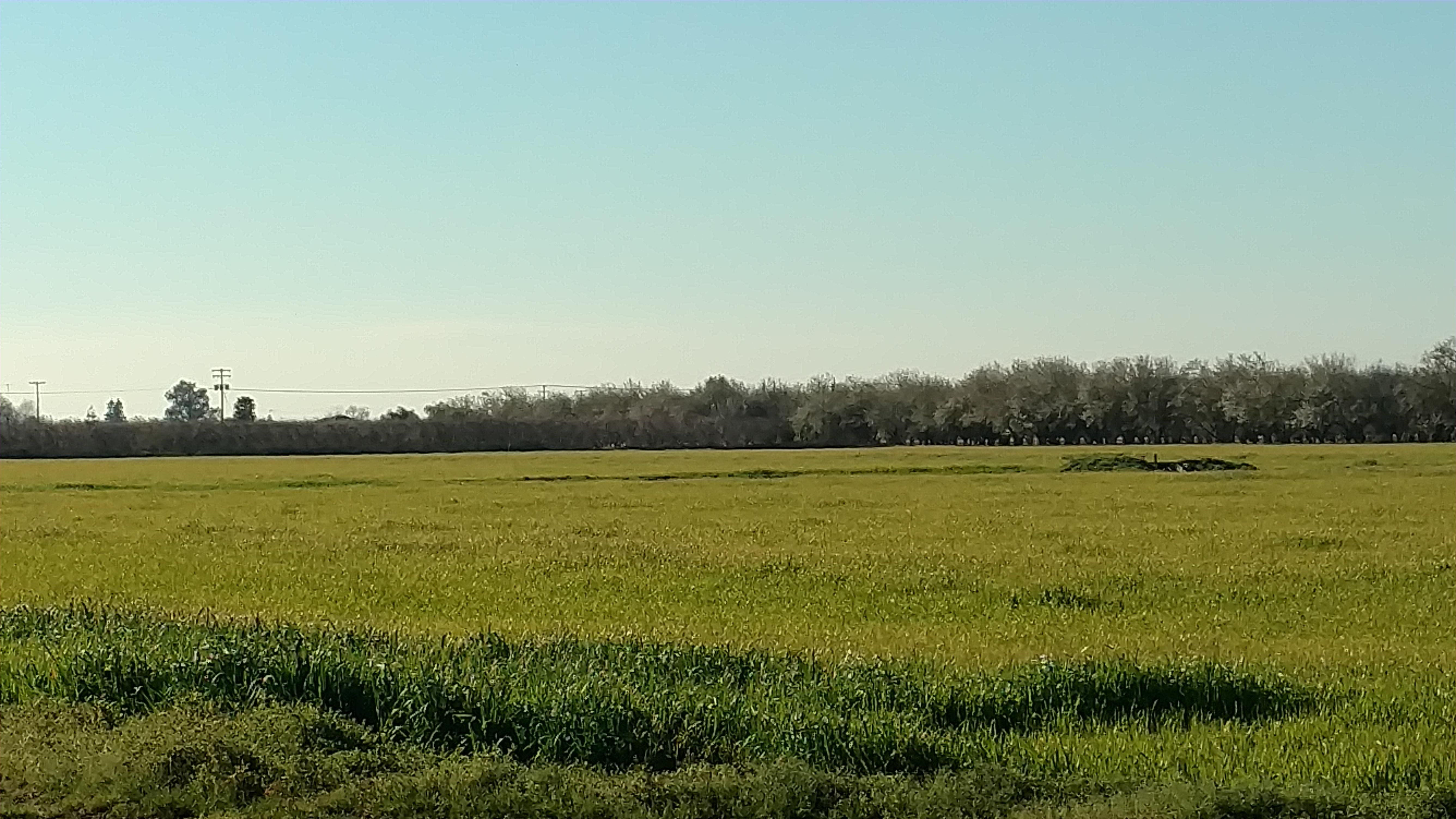 Hughson, Stanislaus County, CA Farms and Ranches, House for sale