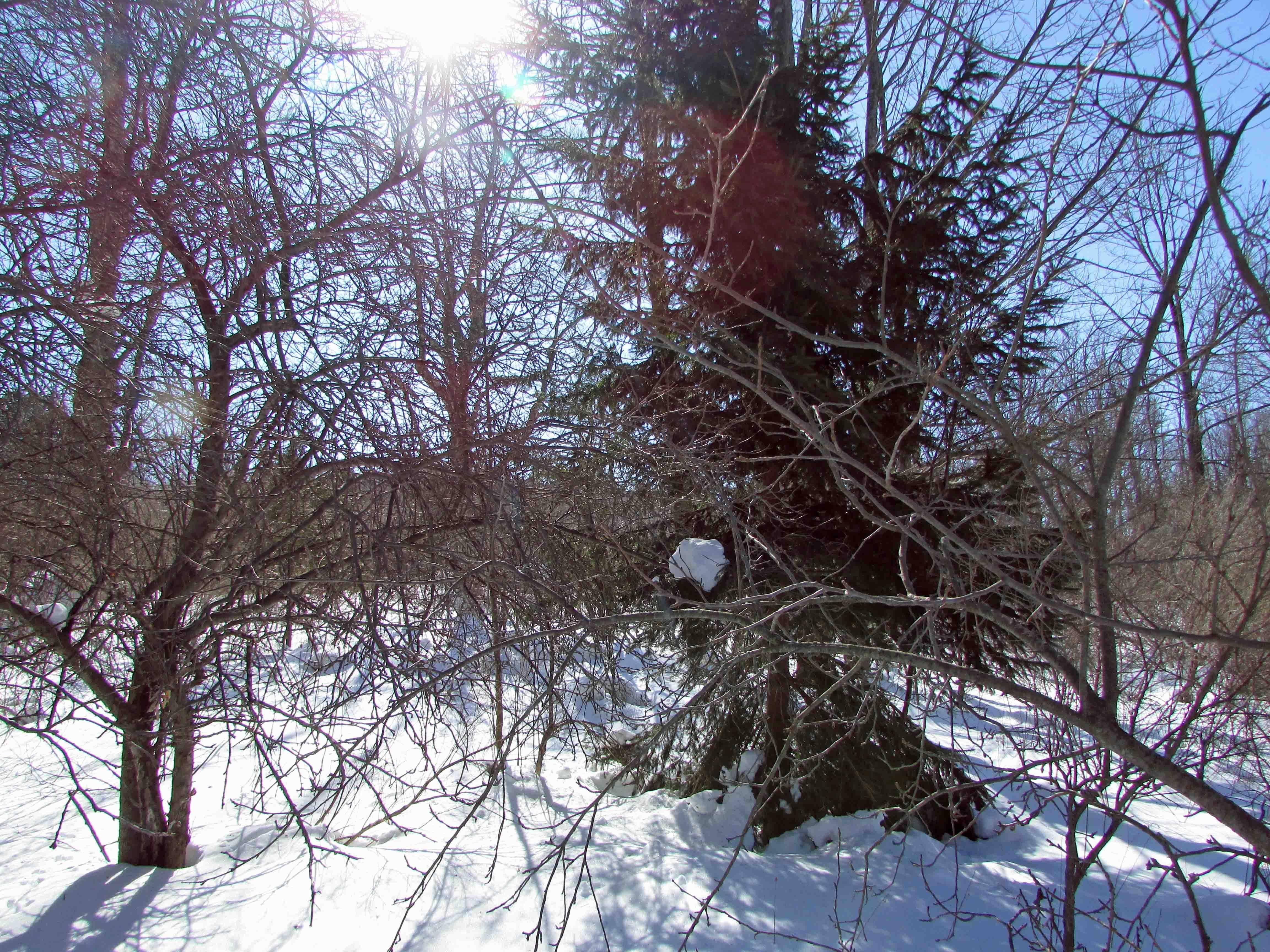 Sharon Springs, Schoharie County, NY Recreational Property, Undeveloped