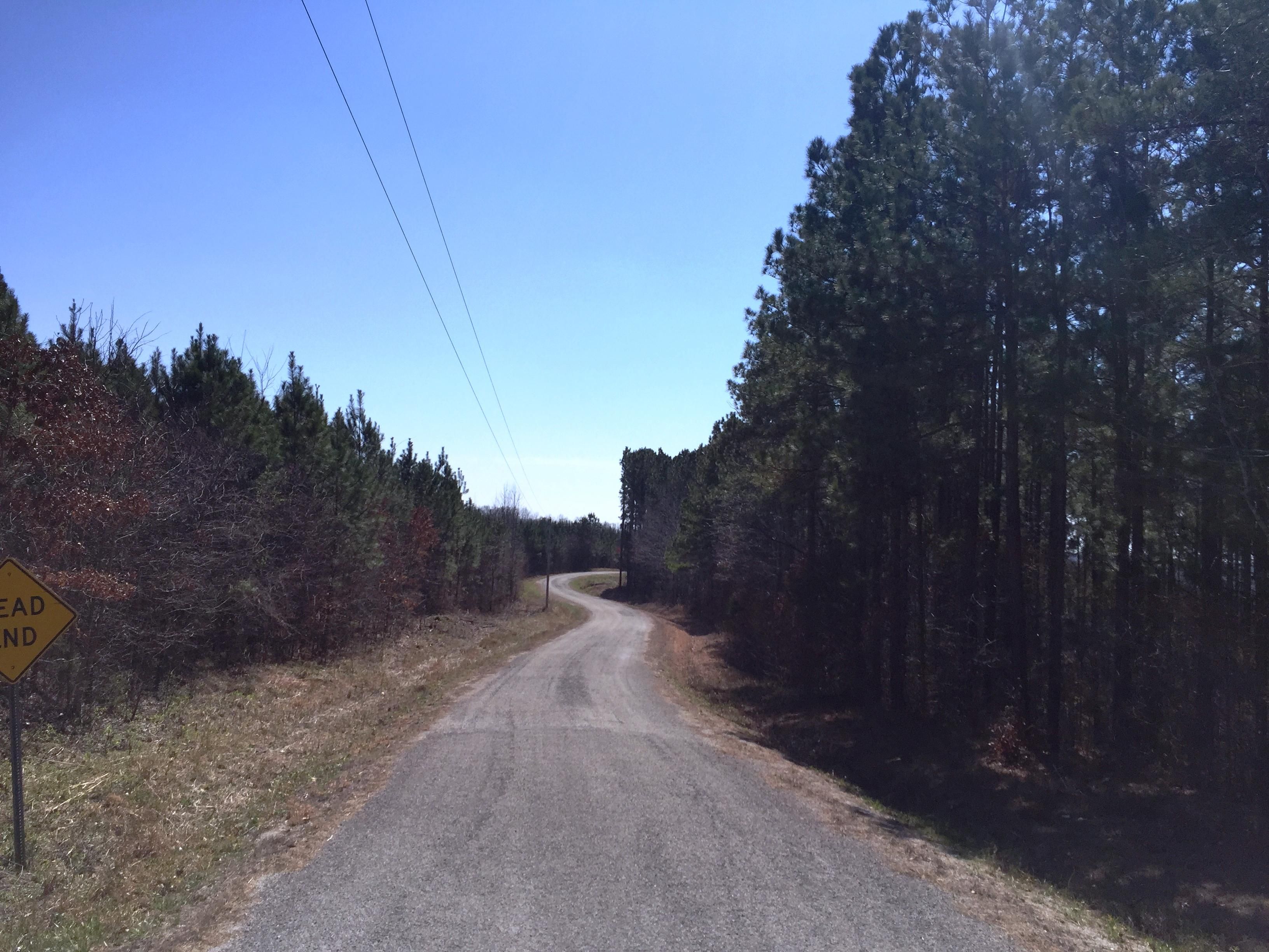 Reagan, Henderson County, TN Recreational Property, Timberland Property, Undeveloped Land for