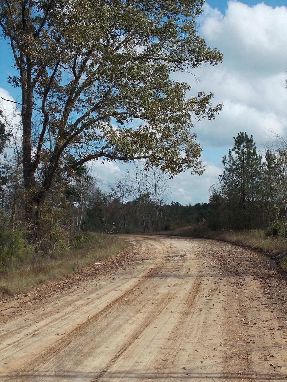 Pearl River, Neshoba County, MS Recreational Property, Timberland