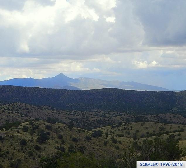 Mimbres, Grant County, NM Undeveloped Land for sale Property ID