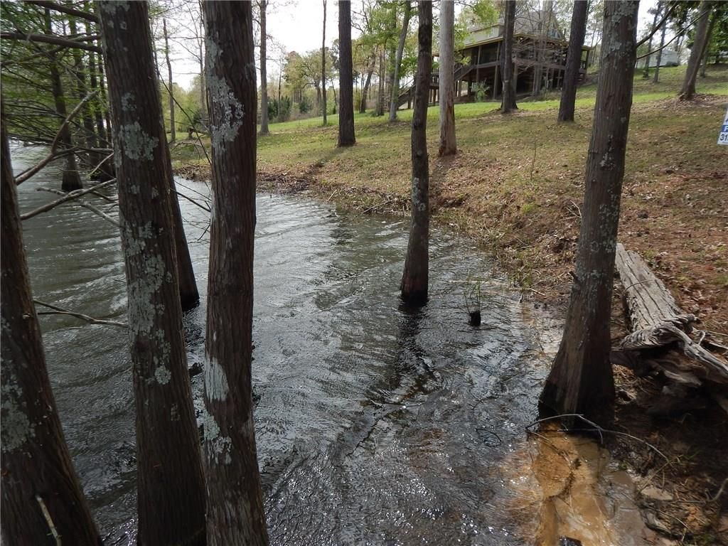 Toledo Bend, Sabine Parish, LA Undeveloped Land, Lakefront Property