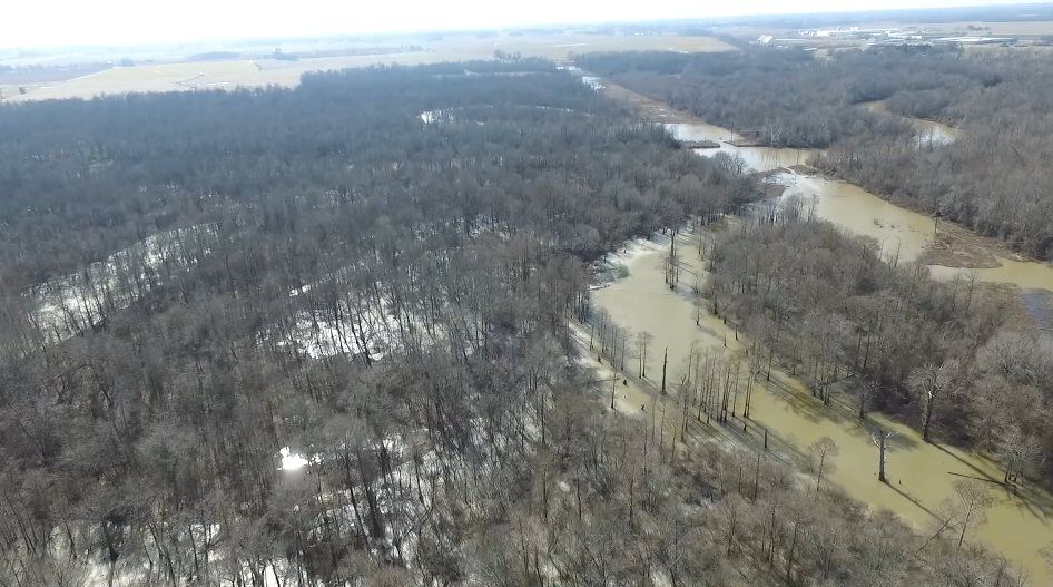 Henning, Lauderdale County, TN Farms and Ranches for sale Property ID