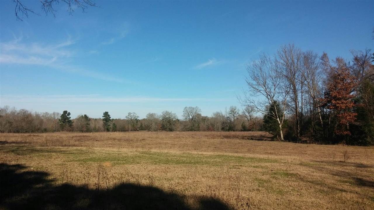Gary, Panola County, TX Farms and Ranches for sale Property ID