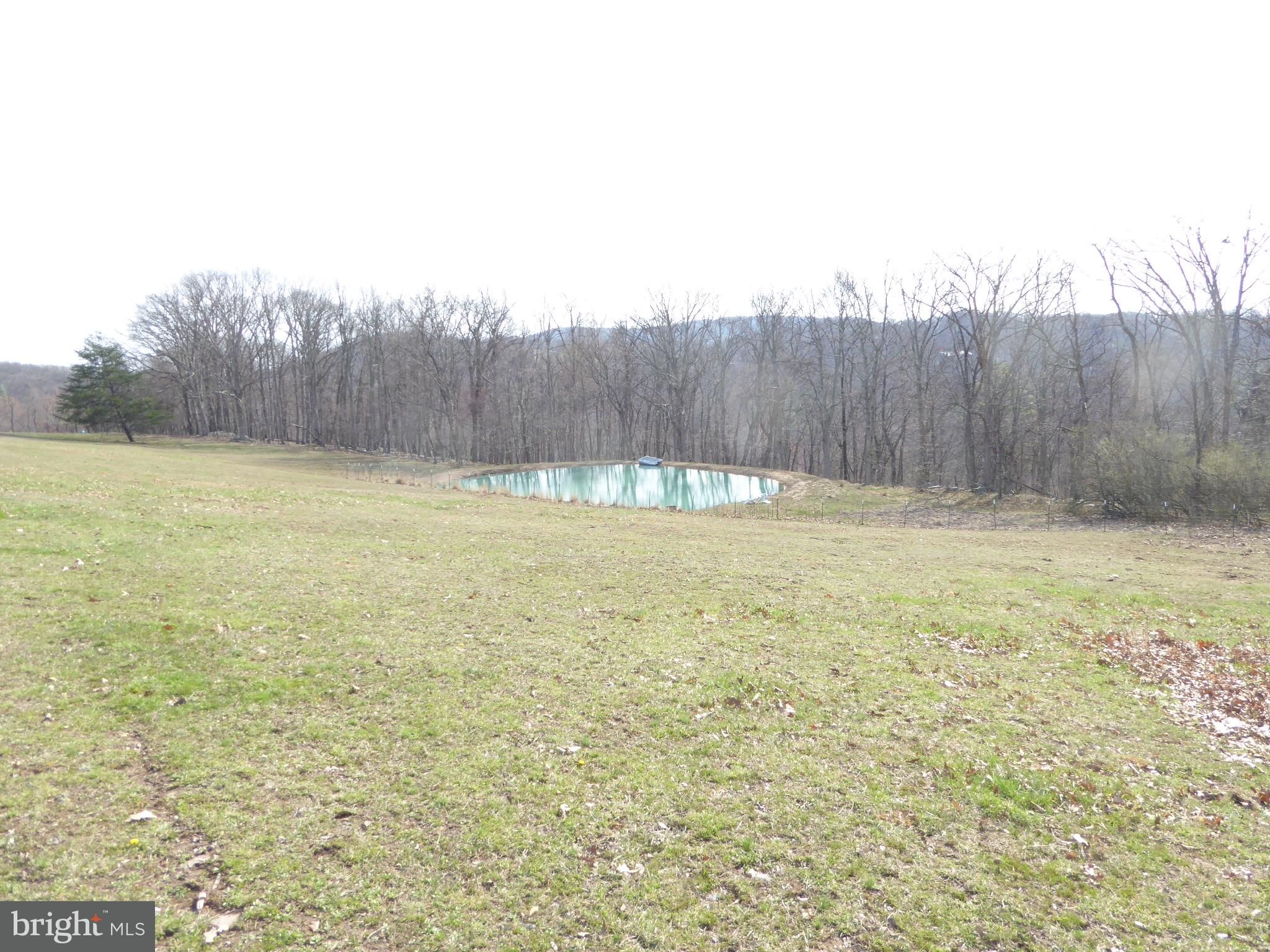 Romney, Hampshire County, WV Undeveloped Land, Lakefront Property