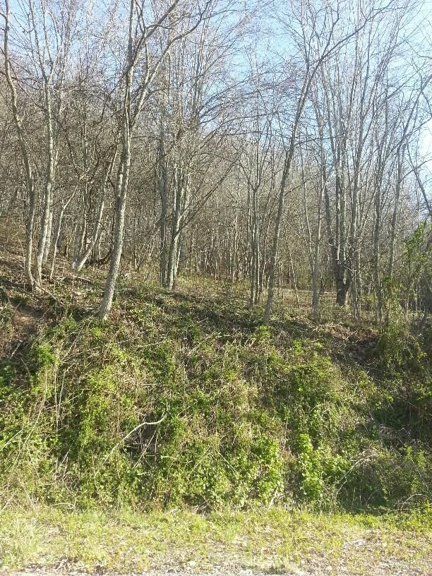 North Tazewell, Tazewell County, VA Recreational Property, Undeveloped