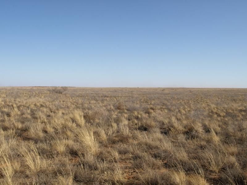 Brownfield, Terry County, TX Farms and Ranches, Undeveloped Land for