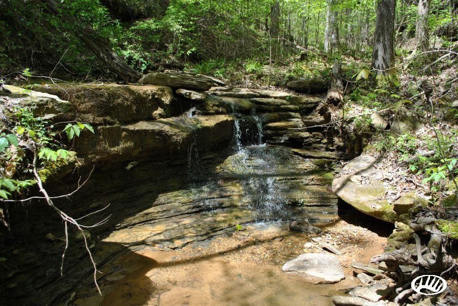 Northport, Tuscaloosa County, AL Farms and Ranches for sale Property ID 404770364 LandWatch