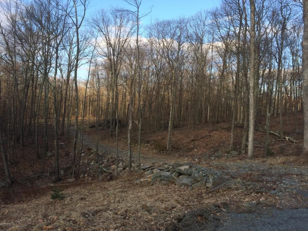 Hawley, Pike County, PA Undeveloped Land, Homesites for sale Property