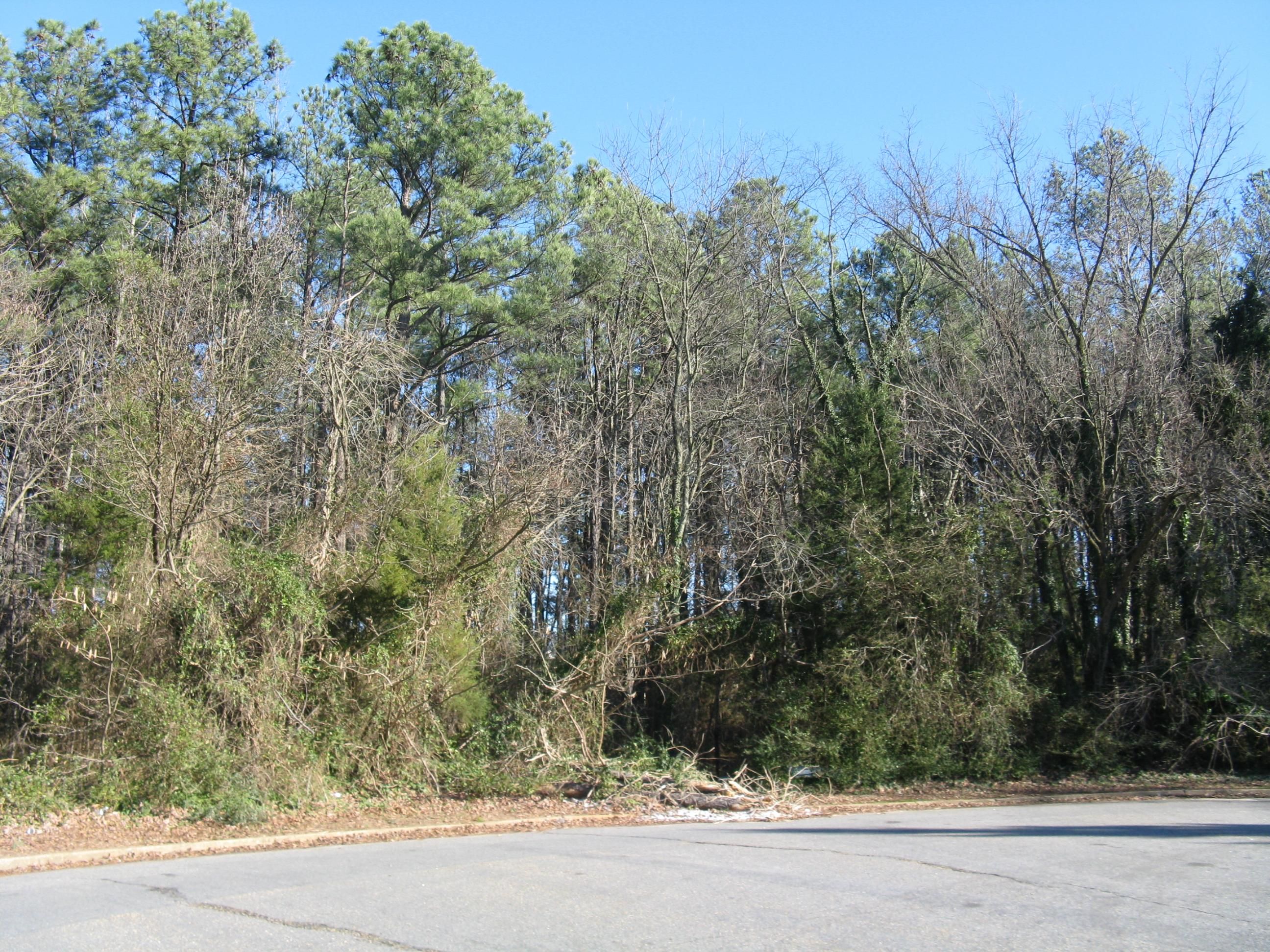 Henrico, Henrico County, VA Commercial Property, Homesites for sale Property ID 332637521