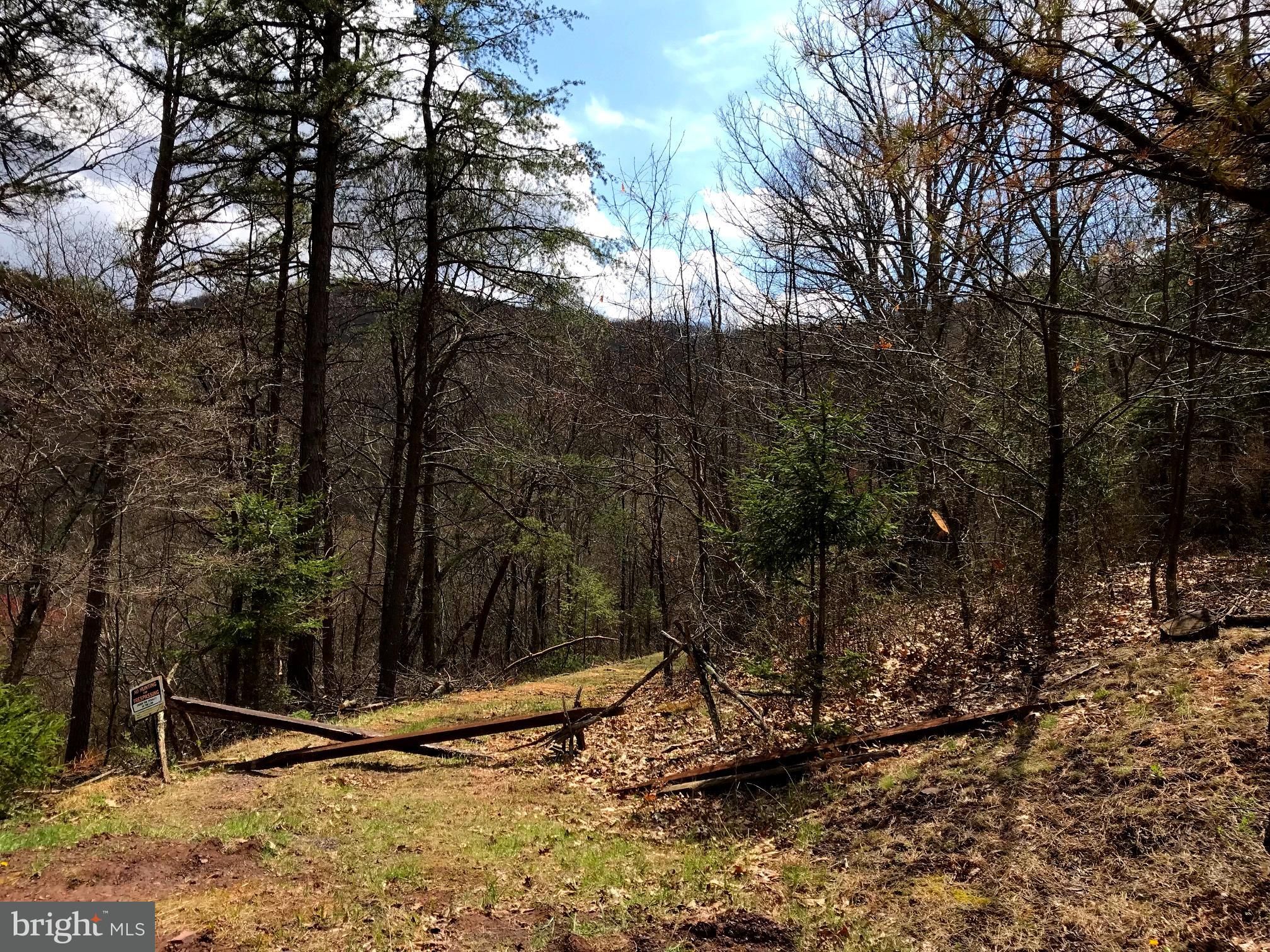 Romney, Hampshire County, WV Undeveloped Land for sale Property ID 331239836 LandWatch