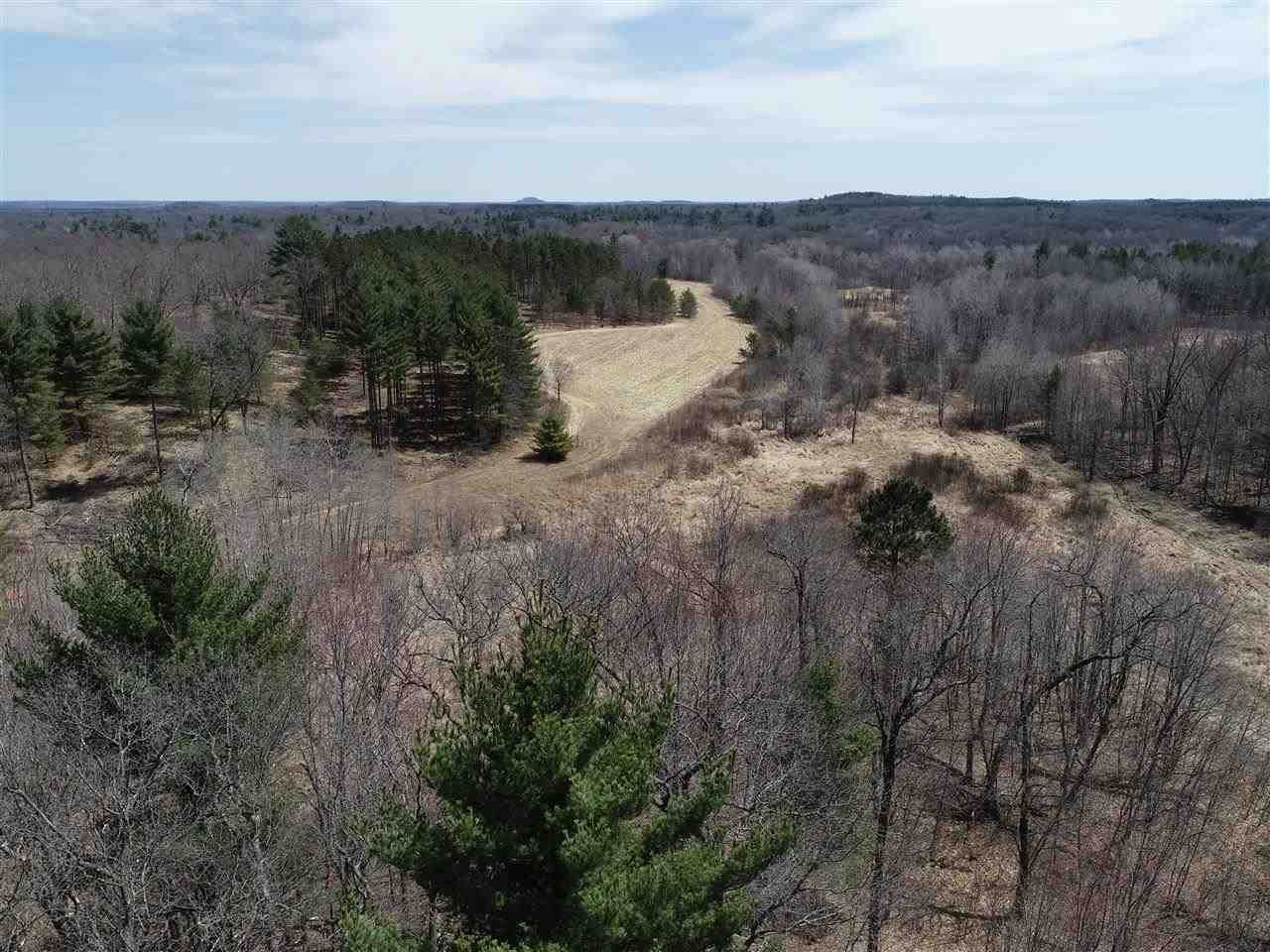 Lyndon Station, Juneau County, WI Undeveloped Land for sale Property ID
