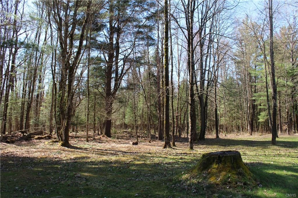 Croghan, Lewis County, NY House for sale Property ID 331243298 LandWatch