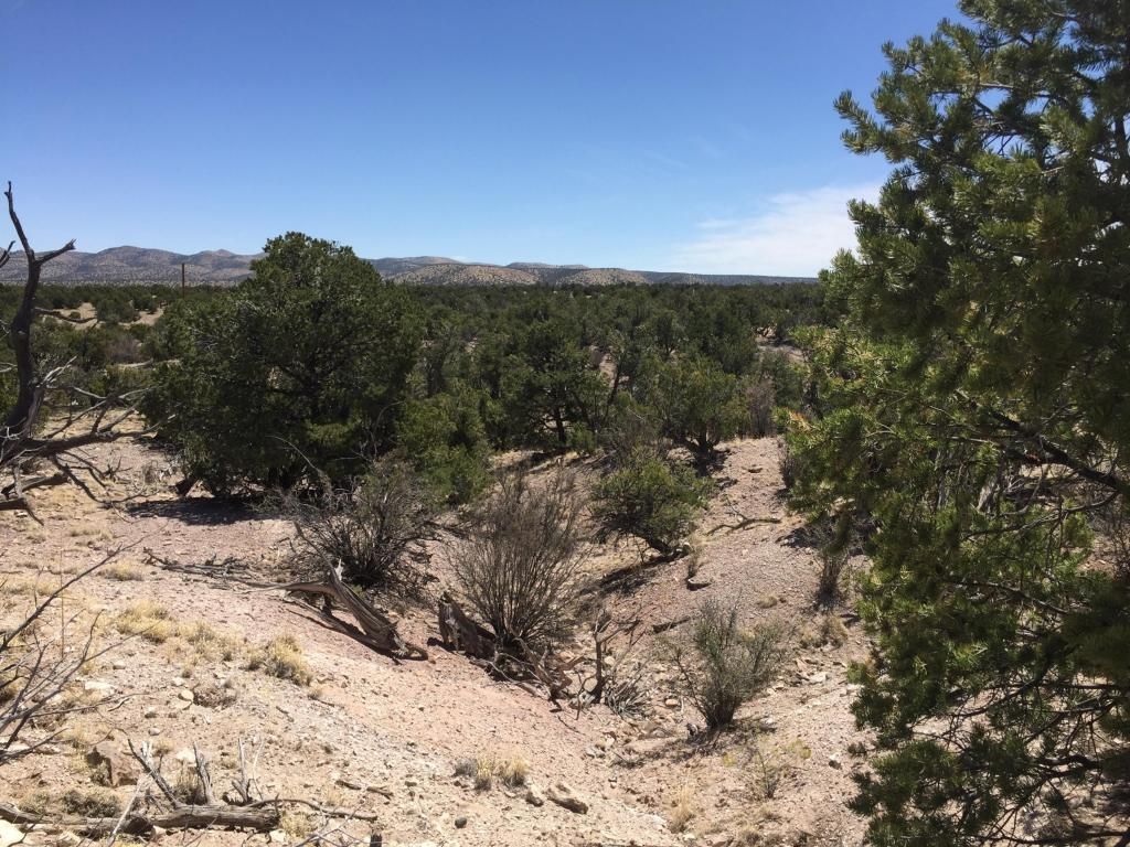 Magdalena, Socorro County, NM Undeveloped Land for sale Property ID
