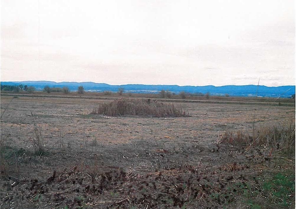 Arbuckle, Colusa County, CA Farms and Ranches, Hunting Property for