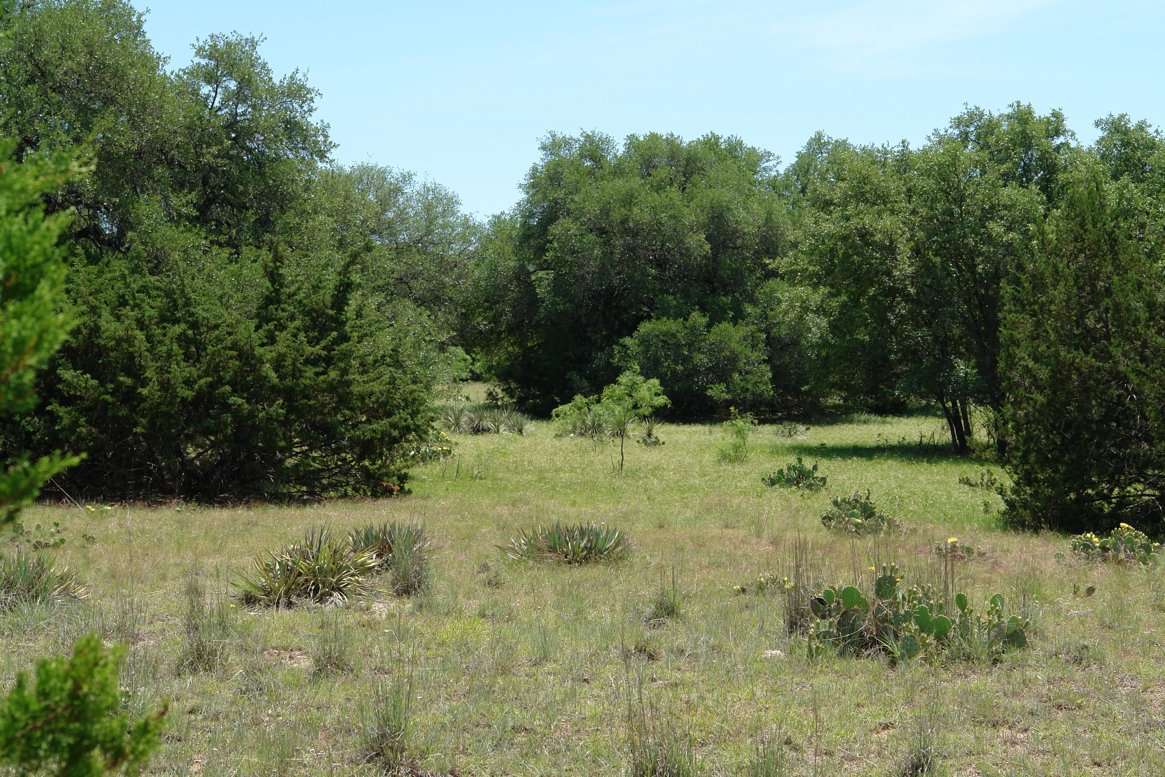 Goldthwaite, Mills County, TX Farms and Ranches, Recreational Property