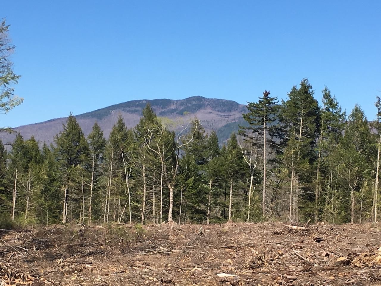 Rumney, Grafton County, NH Undeveloped Land, Riverfront Property