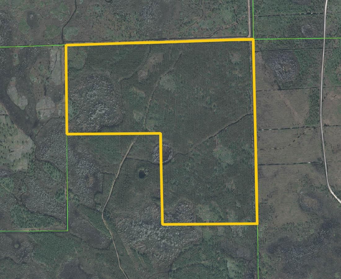 Mims, Volusia County, FL Recreational Property, Undeveloped Land for